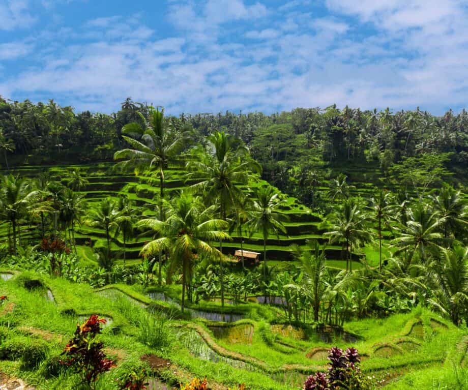 A Tailor Made Luxury Bali Holiday