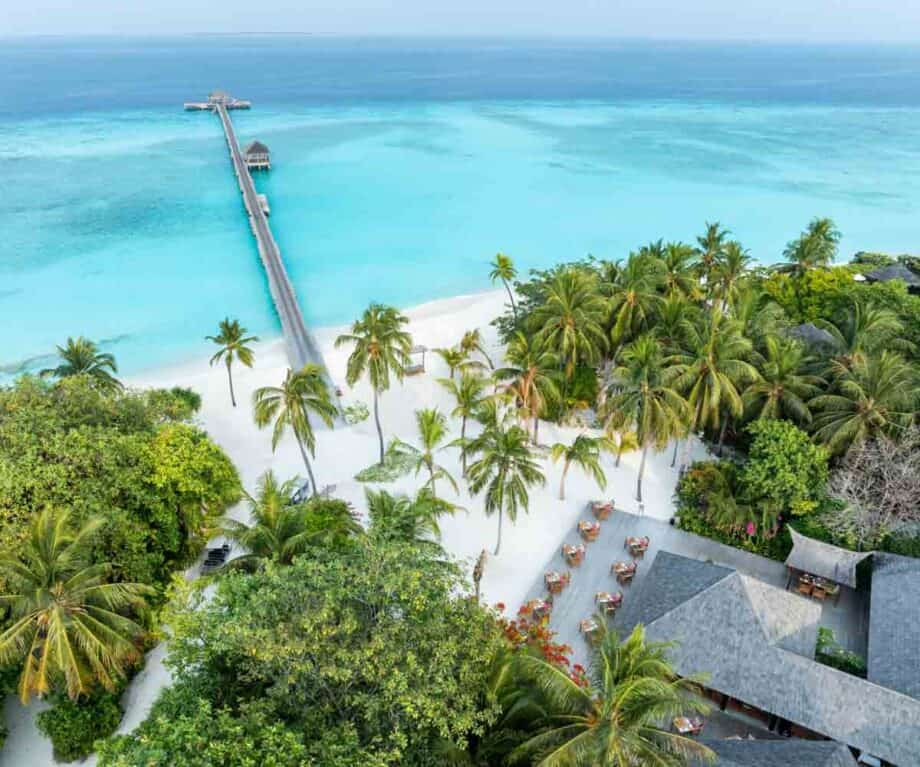 Vegan Maldives Is Really A Thing And You're Going To