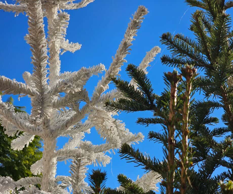 20 Luxury Stocking Fillers For Him This Christmas (2024) –