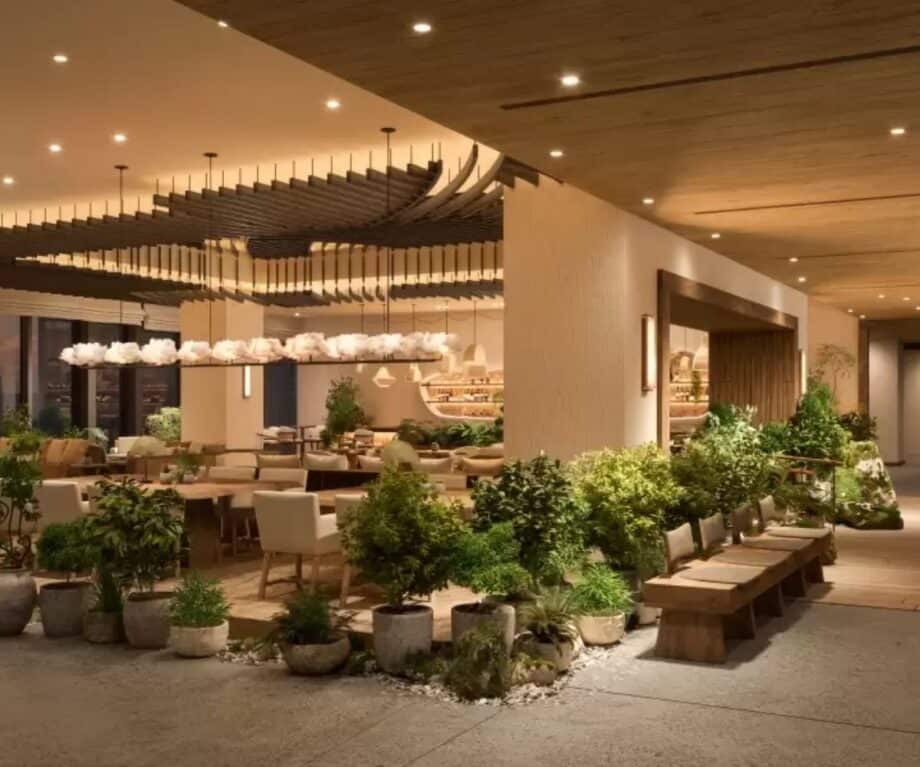 Luxury Travel News From Around The World (december 2024)