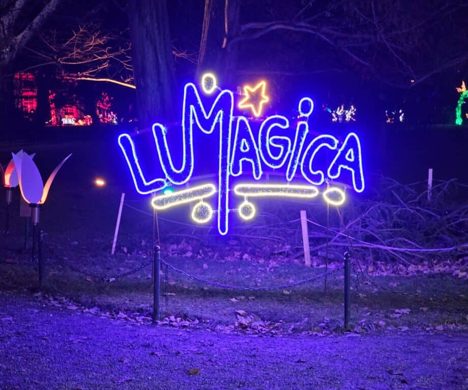 Lumagica In Innsbruck What To Expect