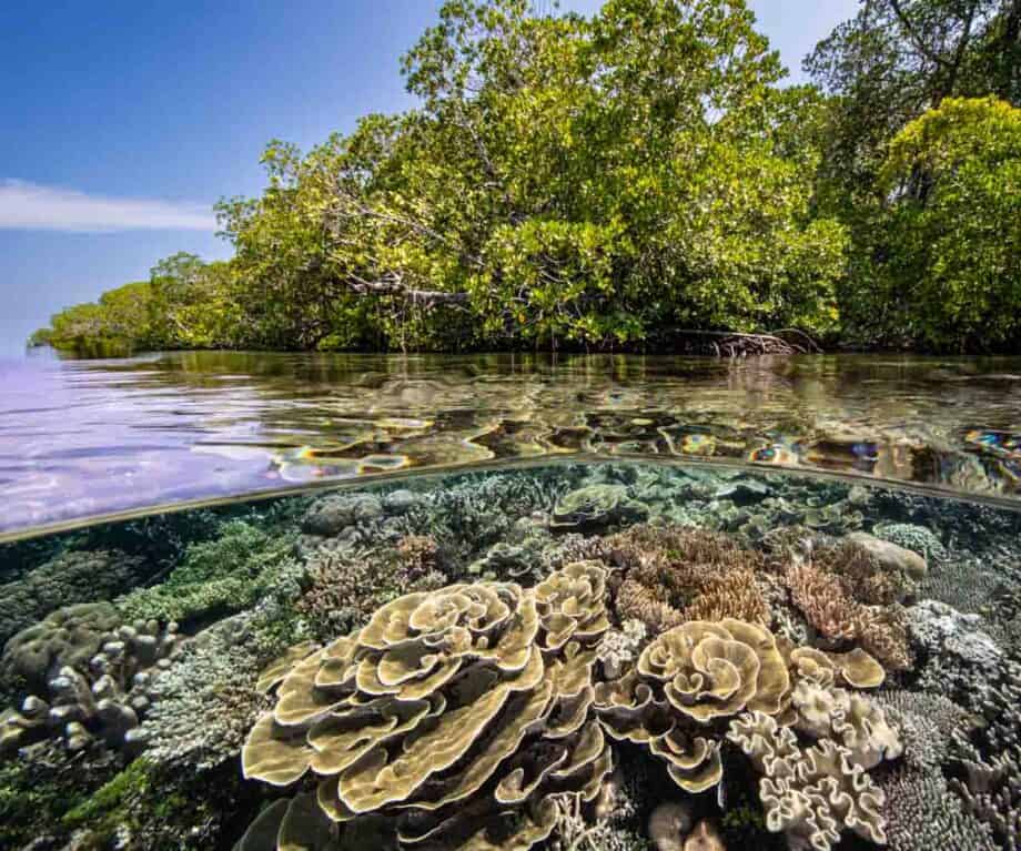 Responsible tourism in the tropical paradise of raja ampat