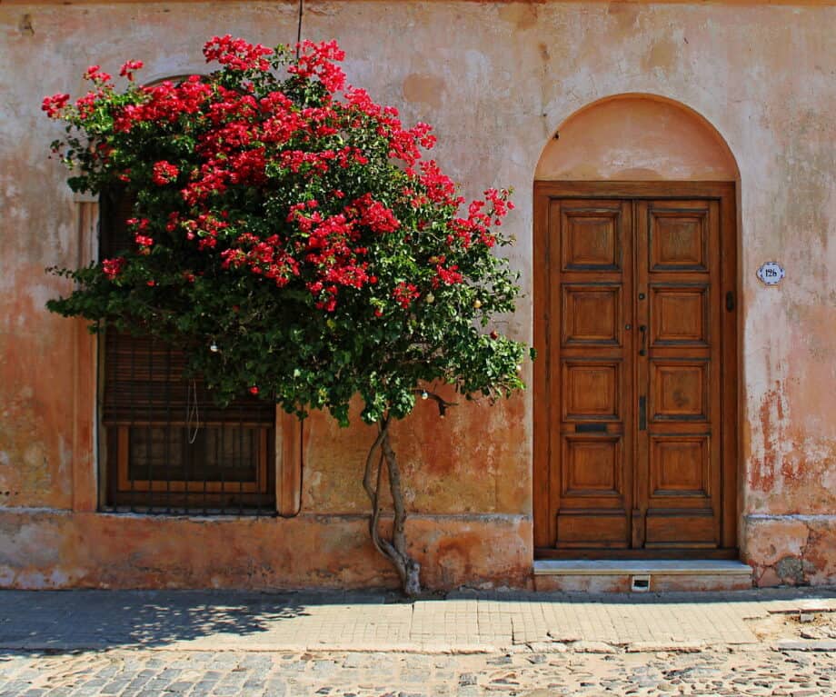 The underrated charm of uruguay: south america's best kept secret