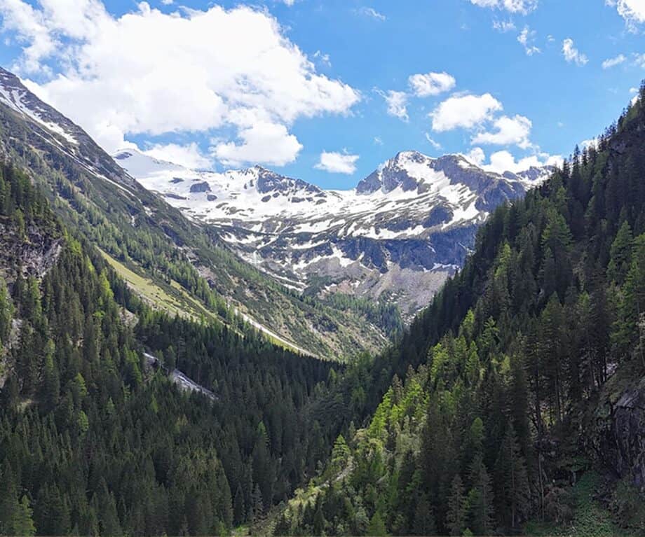 10 ways to spend the perfect summer in grossarl, austria