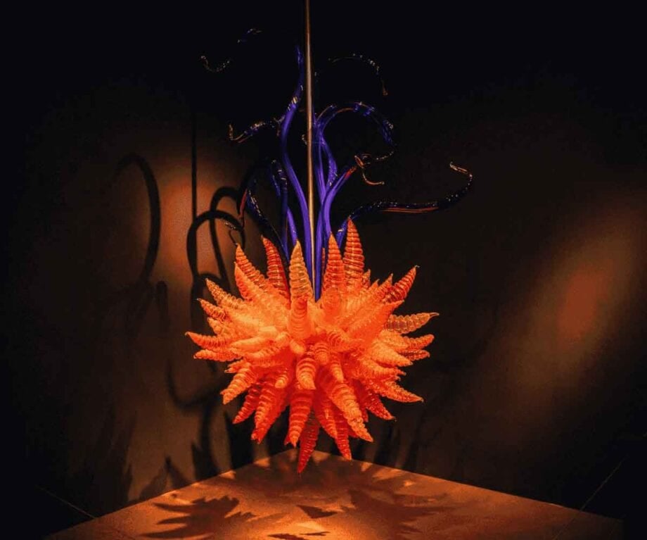 Experience new zealand's artistic soul