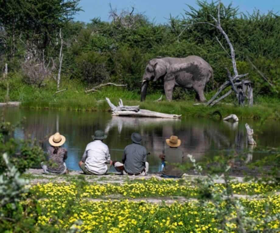 Heavenly hikes in africa a luxury travel blog