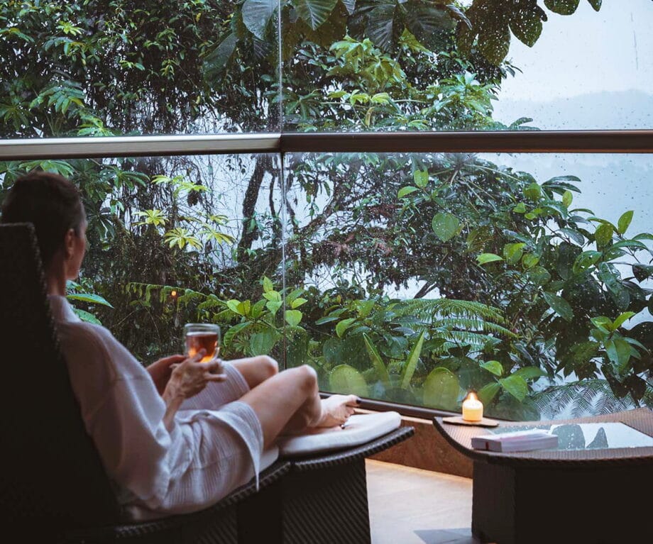 Retreat into the mist: an ecuadorian cloud forest adventure