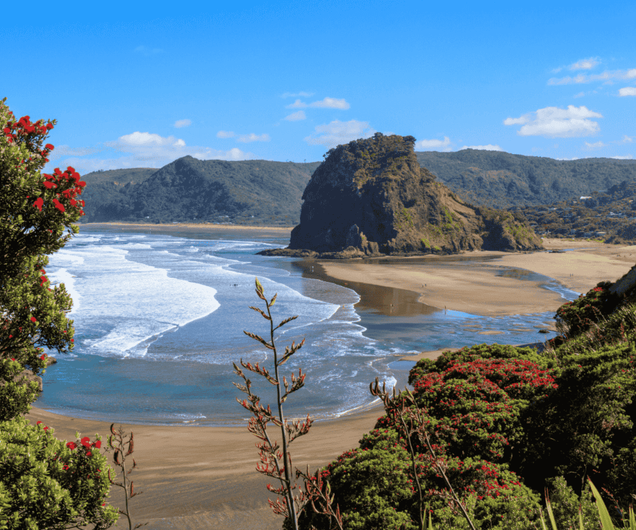 Slow luxury travel: new zealand's photography destinations