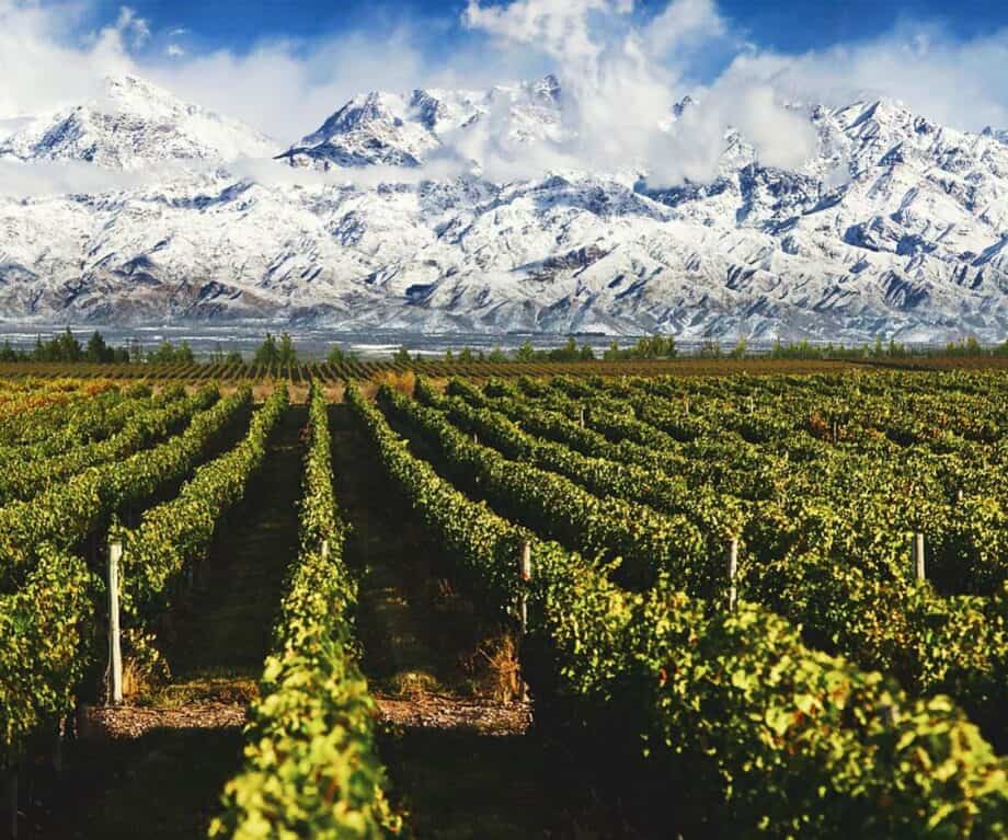 Discover mendoza, argentina: where the glass is always half full