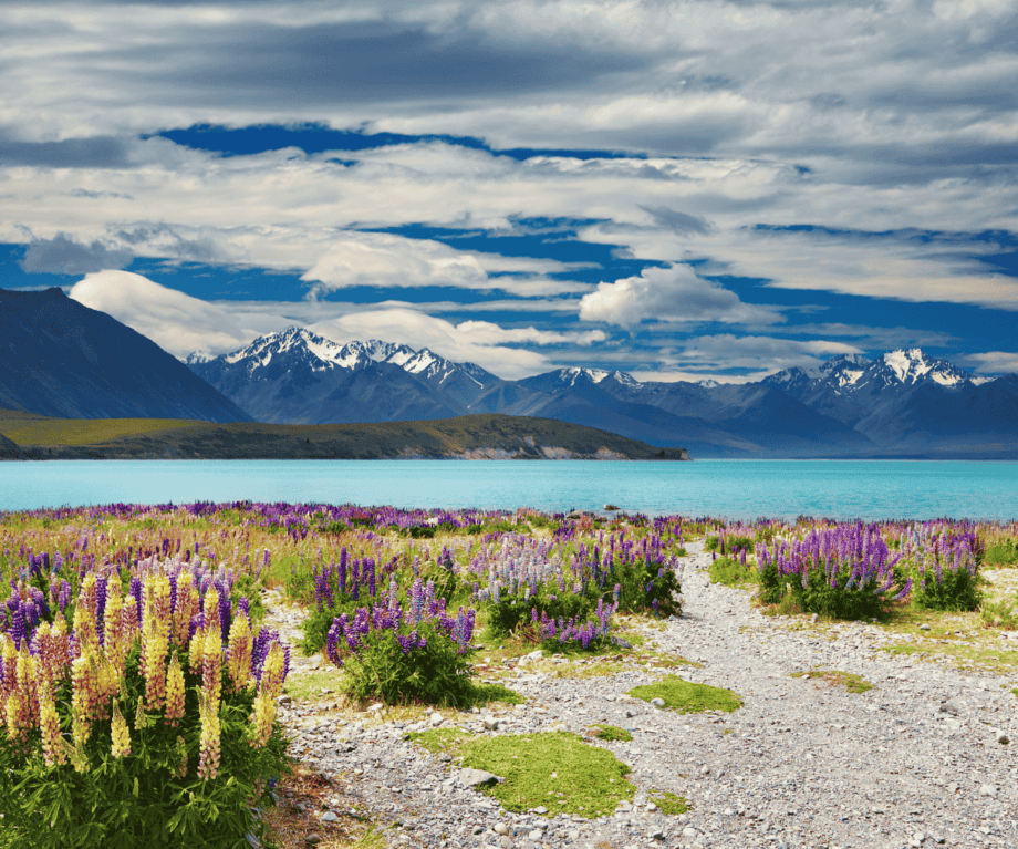 New Zealand luxury travel: The art of letting go