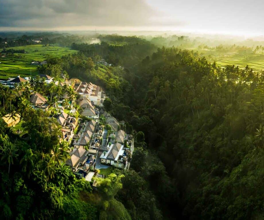 Vegan fine dining, luxury living and innovative wellness in Bali