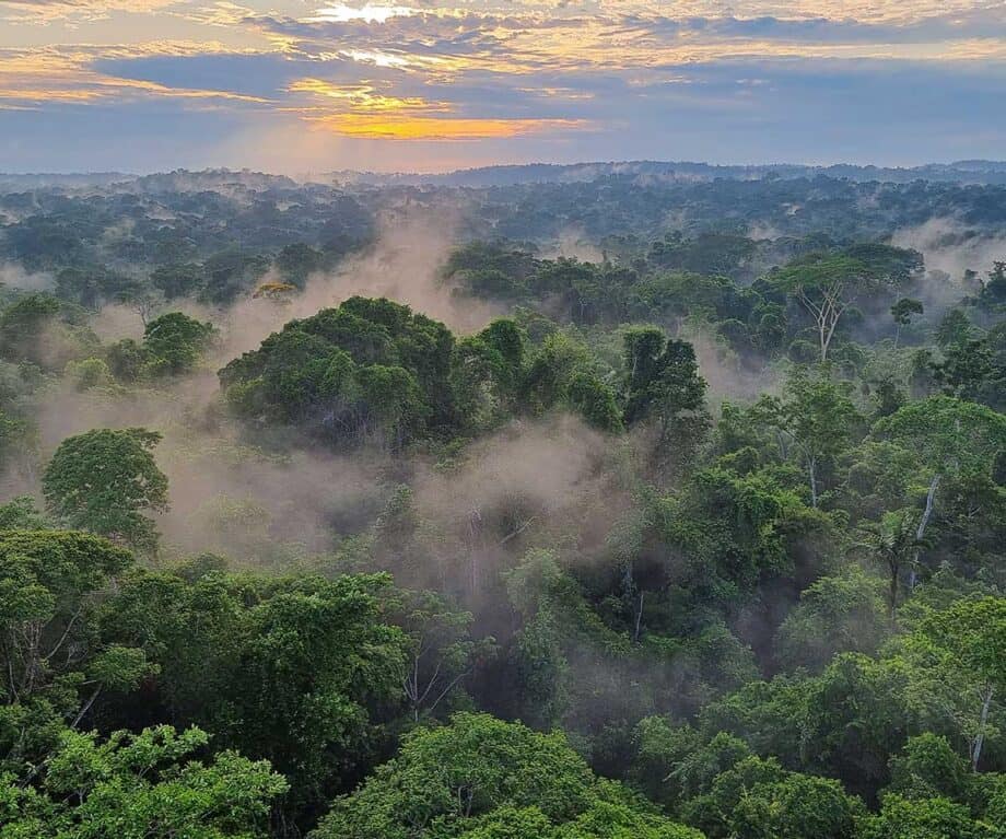 Top 5 must see remote luxury lodges in Latin America