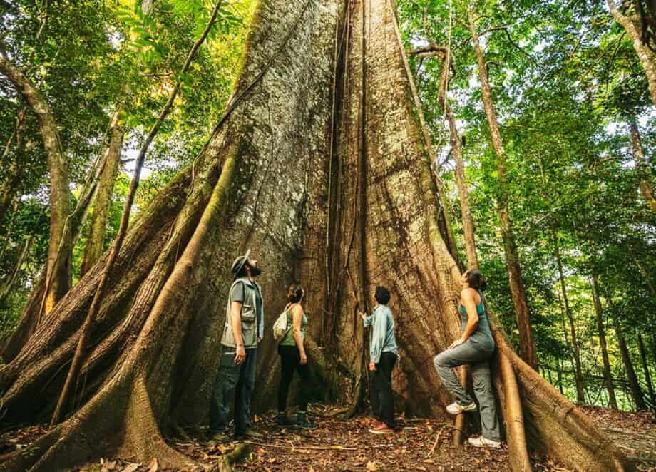 Sustainable tourism in Ecuador: Preserving ecosystems, empowering communities