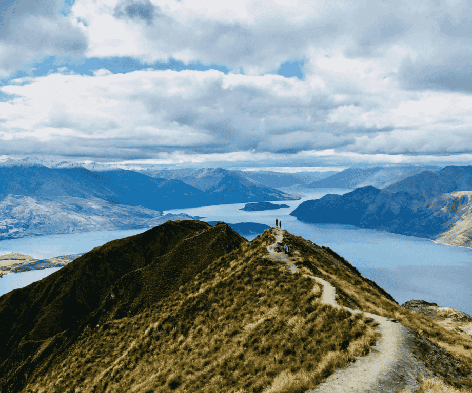The quiet comfort of Wild New Zealand