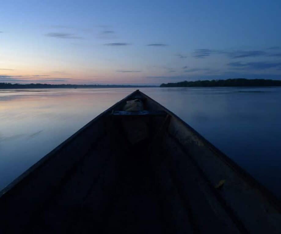 Ecuador’s Yasuní National Park:The accessible Amazon experience