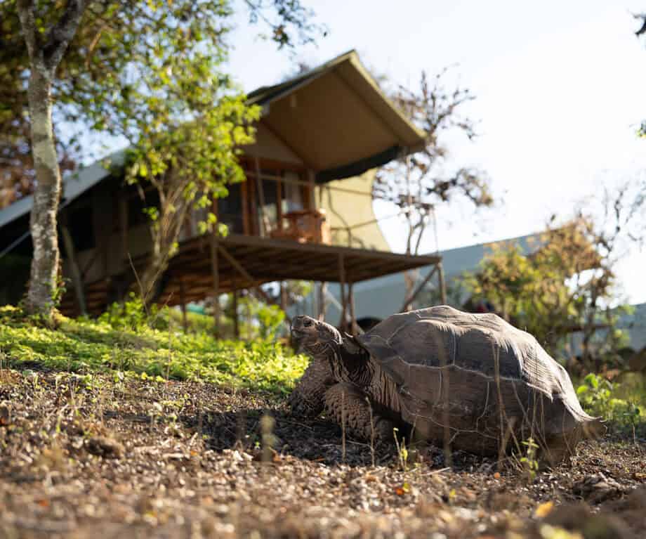 Top 5 land based stays in the Galapagos Islands