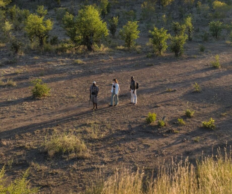 Northern Hwange National Park Walking Safari