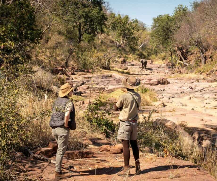 Zimbabwe’s walking safari trails explained